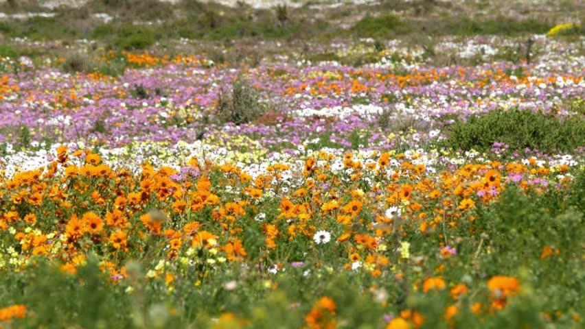 لانجيبان Tortoise Trail Lodge المظهر الخارجي الصورة